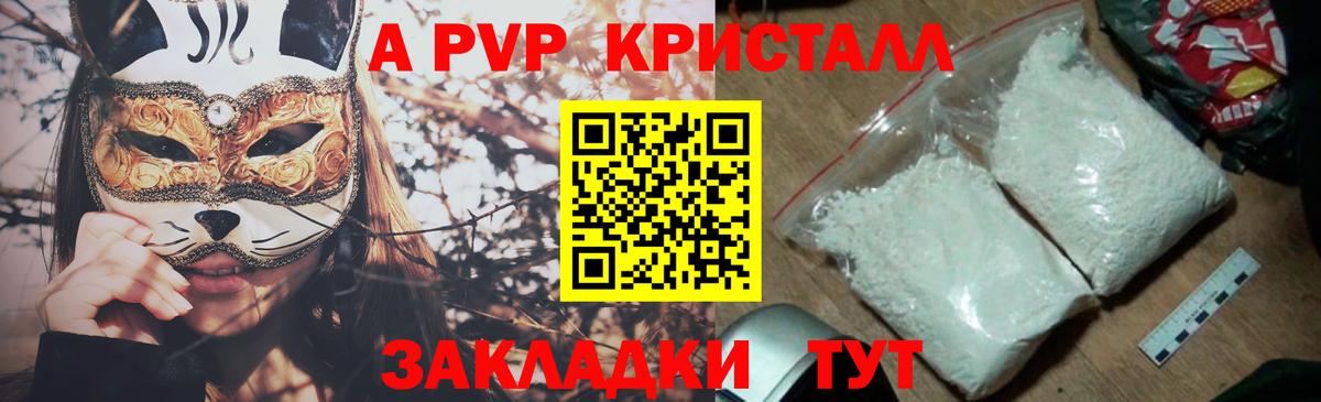 APVP СК Новотроицк