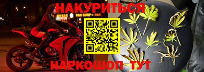 индика Тула