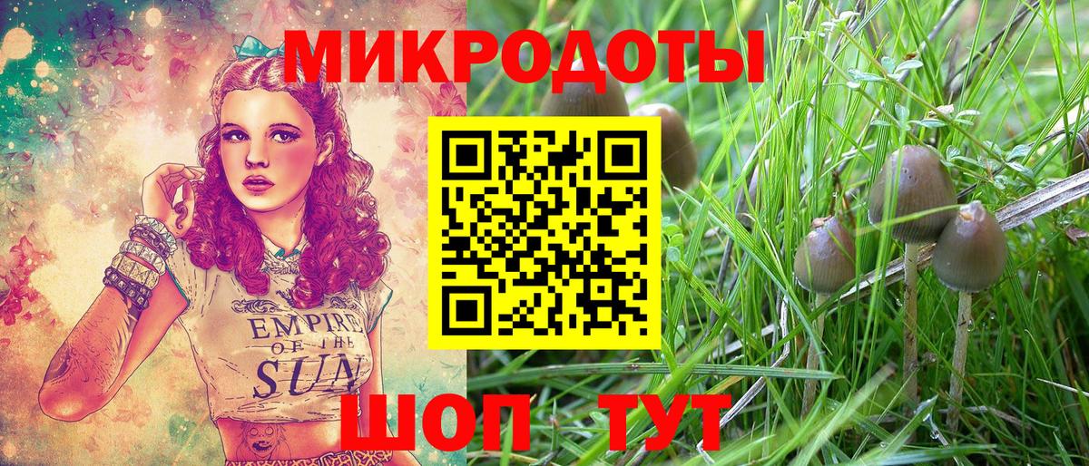 Псилоцибиновые грибы GOLDEN TEACHER  Вход с VPN  Галлюциногенные грибы Cubensis  Новотроицк 
